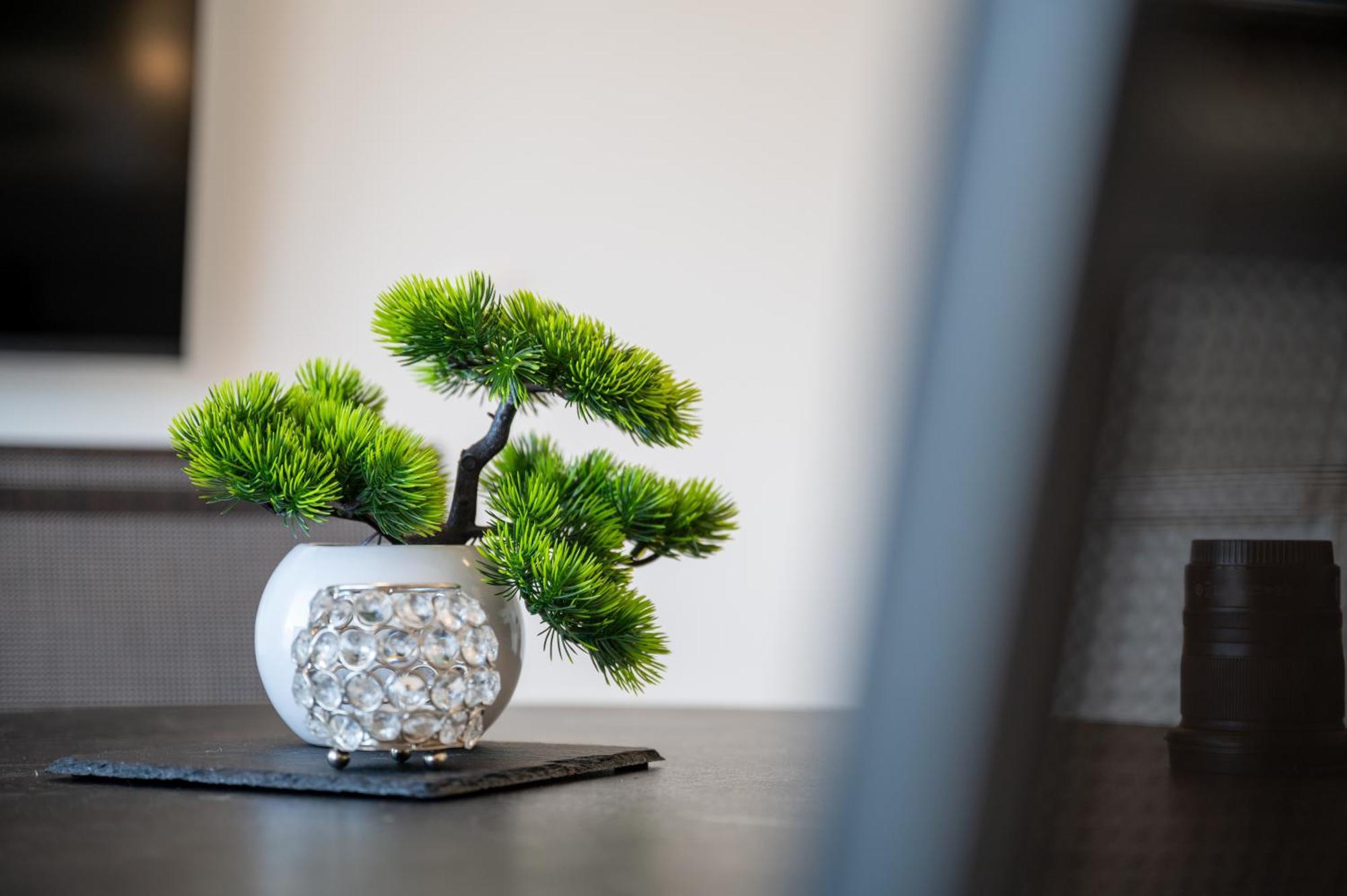 Apartments Filipo Trogir Ngoại thất bức ảnh